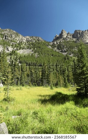 Meadow in Beartooth Mountains, Montana Royalty-Free Stock Photo #2368185567