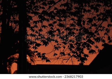 Twilight zone, silhouette of a city in the sunset. golden hour photography