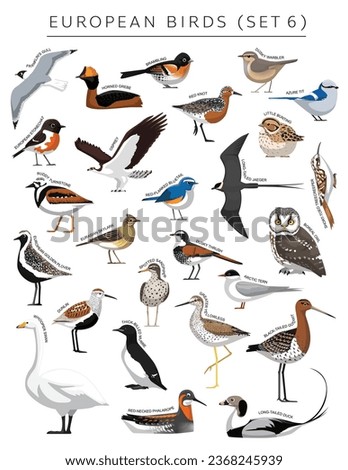European Birds Set Cartoon Vector Character 6 Royalty-Free Stock Photo #2368245939