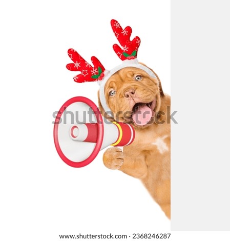 Happy Mastiff puppy dressed like santa claus reindeer  Rudolf looks from behind empty white banner and barks into megaphone. isolated on white background