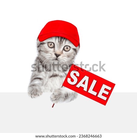 Cat wearing red cap holds signboard with labeled "sale" above empty white banner. Empty space for text. Isolated on white background