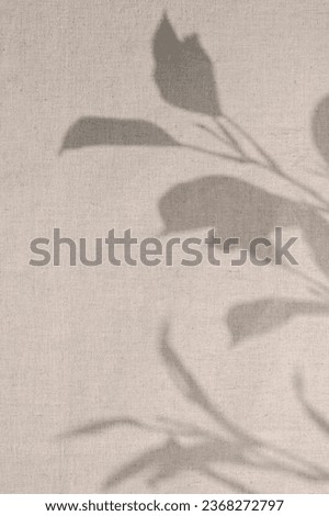 Elegant floral natural sun light shadow on linen neutral beige curtain background. Aesthetic bohemian wedding or minimal business template for branding identity.
