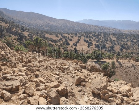 Path covered with large stones and rock, with some green and yellow plantations and vegetation, climb on an Atlas pass Morocco, dry desert area, desert, vast, no indication, contrasting red earth