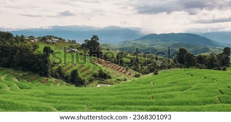 Beautiful landscape view of terraced rice paddy Field and house. Aerial view of Rice terrace at Ban pa bong piang in Chiang mai, Thailand. Terraced rice field with sun rays and dramatic sky.