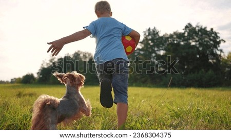 boy runs with a ball and a dog. happy family child dream concept. boy son running through a field of green grass in the park, playing with a ball and a dog leading a pet lifestyle