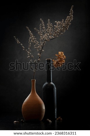 Modern still life with dry autumn plants on a dark background.