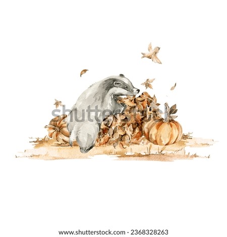 Watercolor nursery set. Hand painted autumn composition of cute badger character, pumpkin, forest fall leaves, isolated on white background. Baby illustration for card design, print, poster