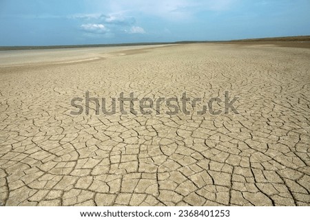Dried-up lake basin (dry lakebed), alkali flat. Semi - desert salt-marsh. The soil is cracked - dry-type playa Royalty-Free Stock Photo #2368401253