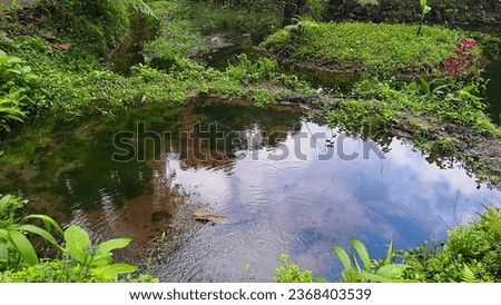 Natural pool or pond in the forest park