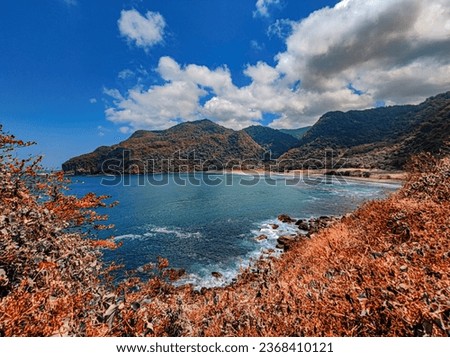 a large body of water surrounded by a lush green hillside, beach and tropical vegetation, today\'s featured photograph 4k, panoramic photography, hdr photograph, 4k photo gigapixel, hdr photography, i