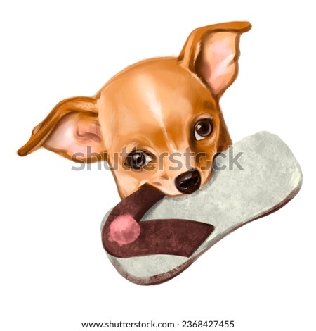The image of a very cute Chihuahua dog. Suitable for web pages, digital design and use in pet products and ready to print. Realistic illustration. Isolated on a white background