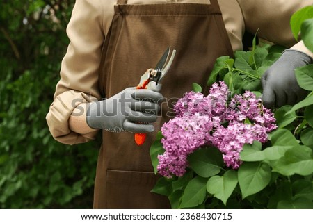 Gardener pruning lilac branch with secateurs outdoors, closeup Royalty-Free Stock Photo #2368430715