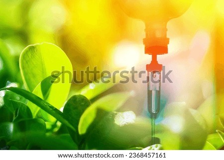 Natural leave green set vitamin iv drip treatment use nutrition weight loss concept.selective focus iv set and leaf tree. Royalty-Free Stock Photo #2368457161