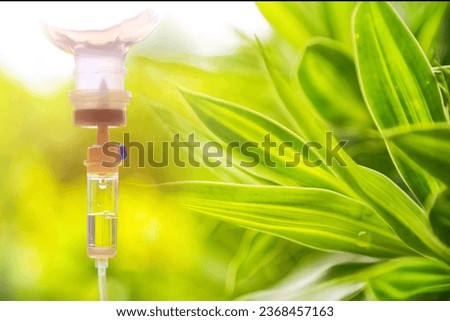 Natural leave green set vitamin iv drip treatment use nutrition weight loss concept.selective focus iv set and leaf tree. Royalty-Free Stock Photo #2368457163