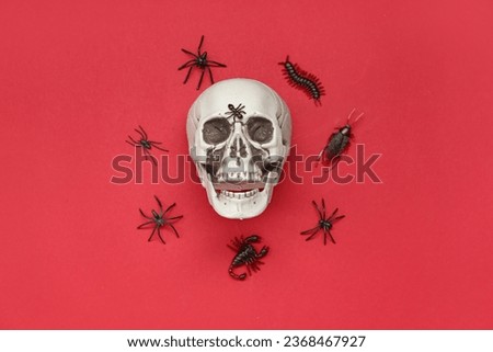 Halloween composition with skull and candy bugs on red background