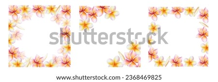 Watercolor set of frames realistic tropical illustration of plumeria flowers with leaves isolated on white background. Beautiful botanical hand painted frangipani clip art. For designers, spa decorati