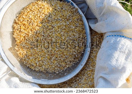 crushed grain for animals corn
