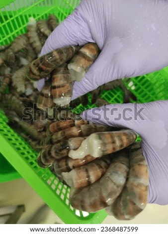 Picture of black tiger prawns that are starting to rot and the flesh is red