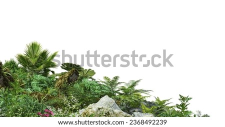 3D render foreground garden with many tropical plants on white background with clipping path