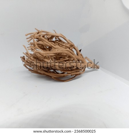 Fatimah grass or Labisia pumila as a souvenir for returning home from the Hajj for herbal medicine to stimulate birth on a white background using LED lighting at night Royalty-Free Stock Photo #2368500025