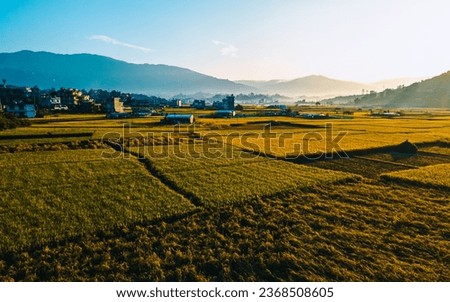 aerial view of Paddy farmland in Kathmandu, Nepal. 