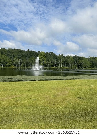 Water fountain in a pond