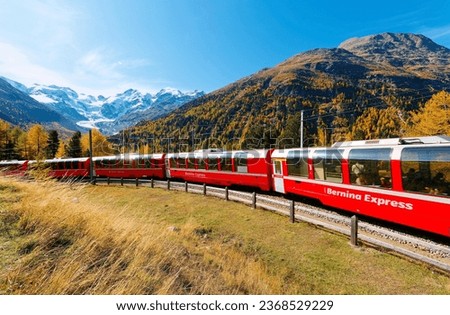 A Bernina Express travels thru fall colors at Montebello Curve on a brisk autumn day, with Morteratsch glacier lying below Piz Bernina and snowy mountains in background, in Pontresina, Switzerland Royalty-Free Stock Photo #2368529229