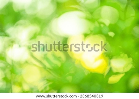 Glowing green nature background with sunburst. Abstract nature green background.