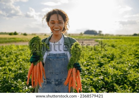 Smiling female farmer holding freshly picked carrots standing in field. Agro industry concept Royalty-Free Stock Photo #2368579421