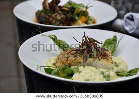 Pistachio crusted halibut over creamy risotto