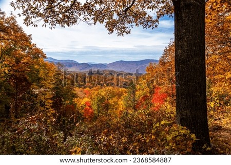 Scenic fall mountain view from the Roaring Fork Motor Nature Trail, beautiful and colorful Royalty-Free Stock Photo #2368584887