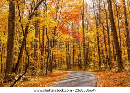 Breathtaking road through the Roaring Fork Motor Nature Trail, October fall colors in the forest