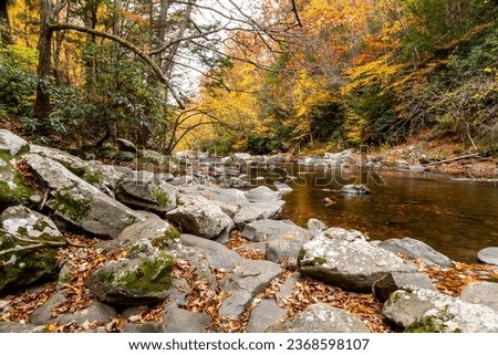 A calm portion of Abrams Creek which runs through Cades Cove in the Great Smoky Mountains, Tennessee, USA Royalty-Free Stock Photo #2368598107