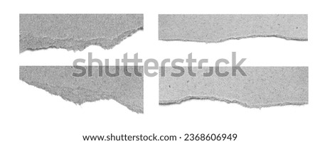Set of ripped paper on white background and have copy space for design in your work.