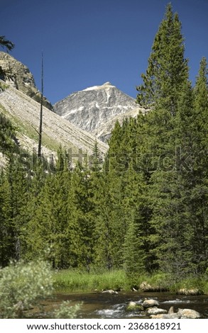 Whitetail Peak (12,548 ft.) fourth highest peak viewed from Lake Fork Creek in Beartooth Mountains, Montana Royalty-Free Stock Photo #2368618921