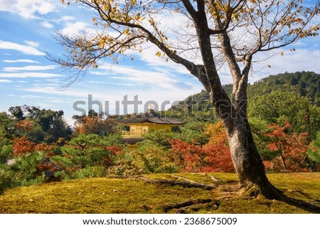 Kinkakuji Temple or Golden Pavilion with autumn foliage leaf at park against blue sky by top view in Kyoto, Japan. Famous travel destination in fall season, Kansai.