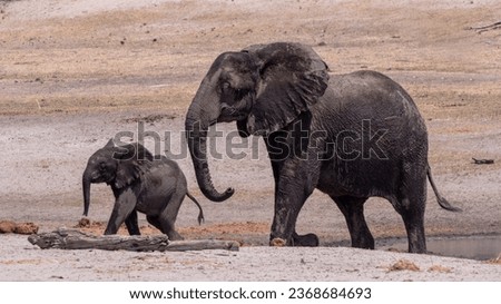 It is a picture of elephant and hid child.