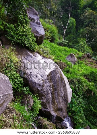 Stream of water flowing through rocks with green tropical plants all around
