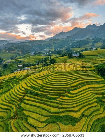 Aerial view of rice field or rice terraces , Sapa, Vietnam. Y Linh Ho village, Ta Van valley Royalty-Free Stock Photo #2368705531