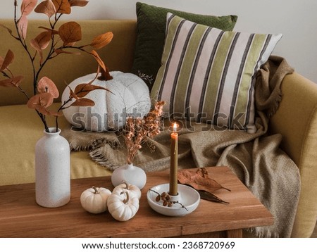 Autumn interior of the living room - sofa with pillows and blankets, wooden bench with autumn decor   Royalty-Free Stock Photo #2368720969