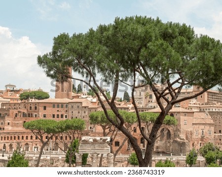 the city of Rome in italy
