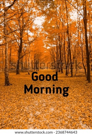 Nice and beautiful good morning pictures 
