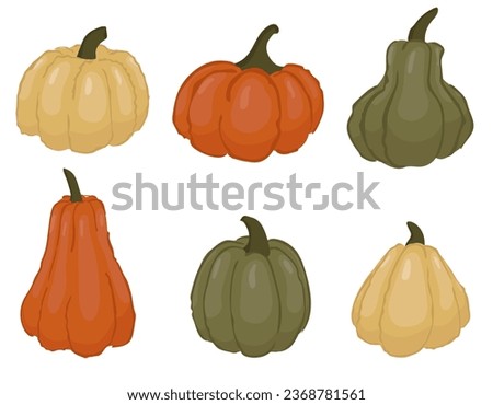 A set of hand drawn pumpkins of various shapes and colors.