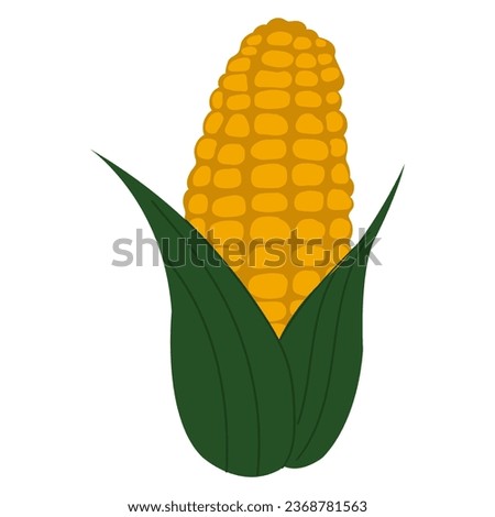 Simple cartoon style yellow corn. Golden maize harvest concept.
