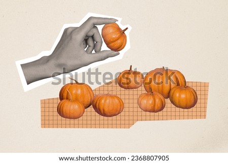 Collage picture postcard of hand showing orange ripe pumpkin isolated on drawing background