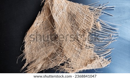 Brown dry palm tree trunk from jungle with interesting texture, background, details. Abstract background, frame, copy space