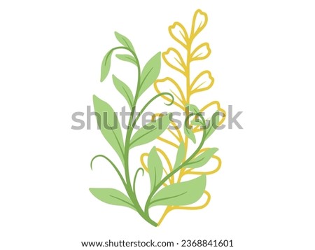 Botanical Line Art Abstract Leaves Illustration