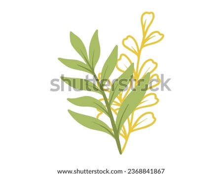 Botanical Line Art Abstract Leaf Illustration
