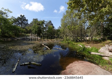 Franchard pond in Fontainebleau forest