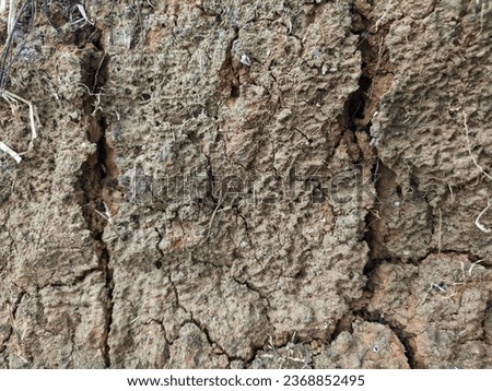 cracked brown soil ground Earth for texture background,desert cracks,Dry Orange surface Arid,drought land,Picture of natural disaster. drought land Caused by global warming and deforestation